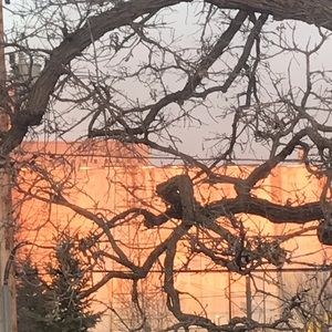 Meet your Posher, Rose